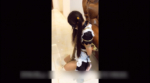 Thumbnail of post image 140