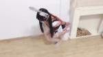 Thumbnail of post image 070